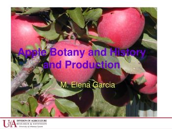 Apple botany_ history