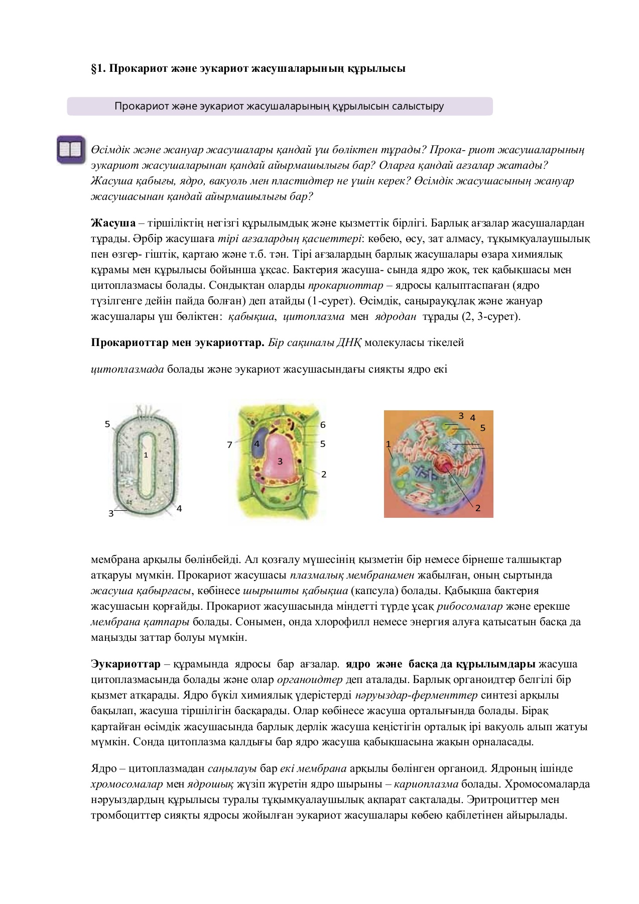 Skype-та порно мастурбация Шәует жинағыштағы пациенттен сперматозоидтарды жинау фотосы