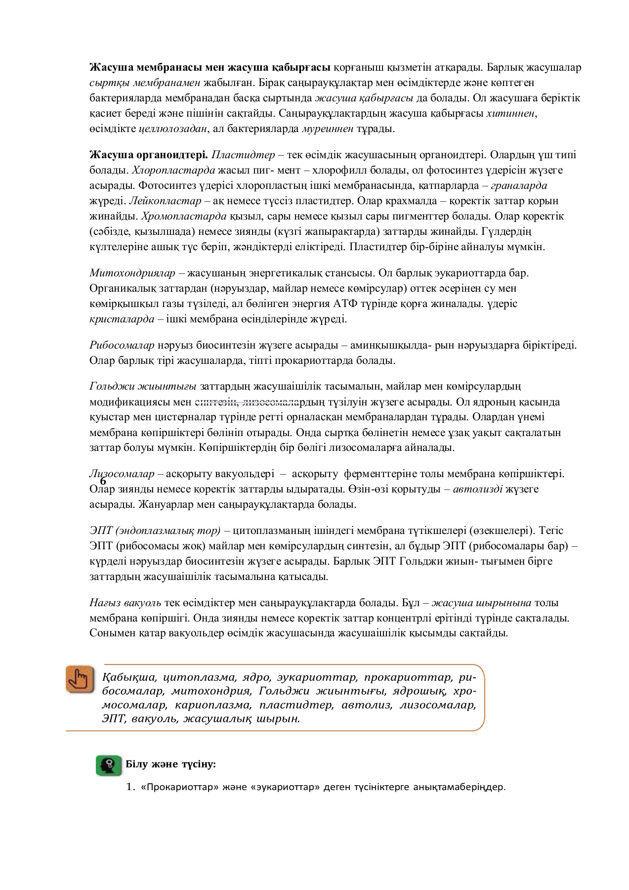 Үлкен сиськи жұмысшылары