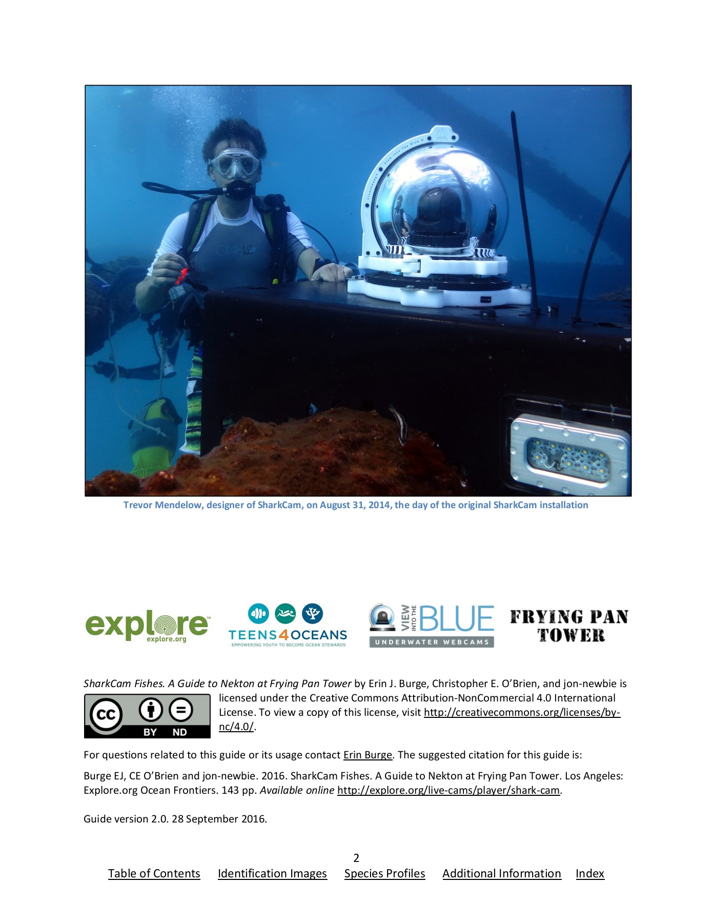 Frying Pan Tower Live Underwater Cam Bruin Blog