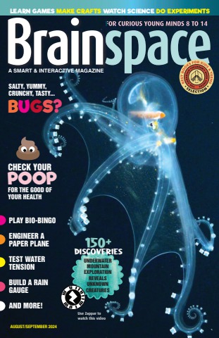 Brainspace