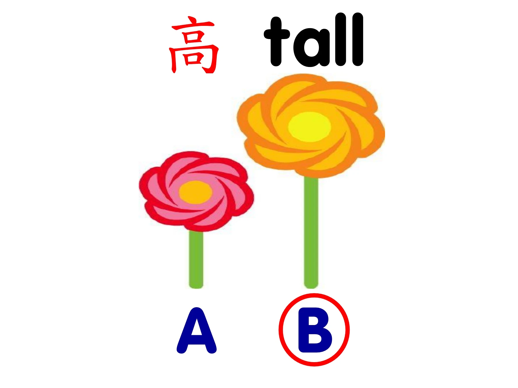 高和矮