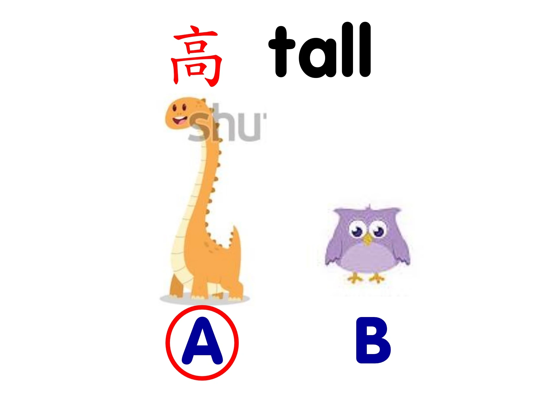 高和矮