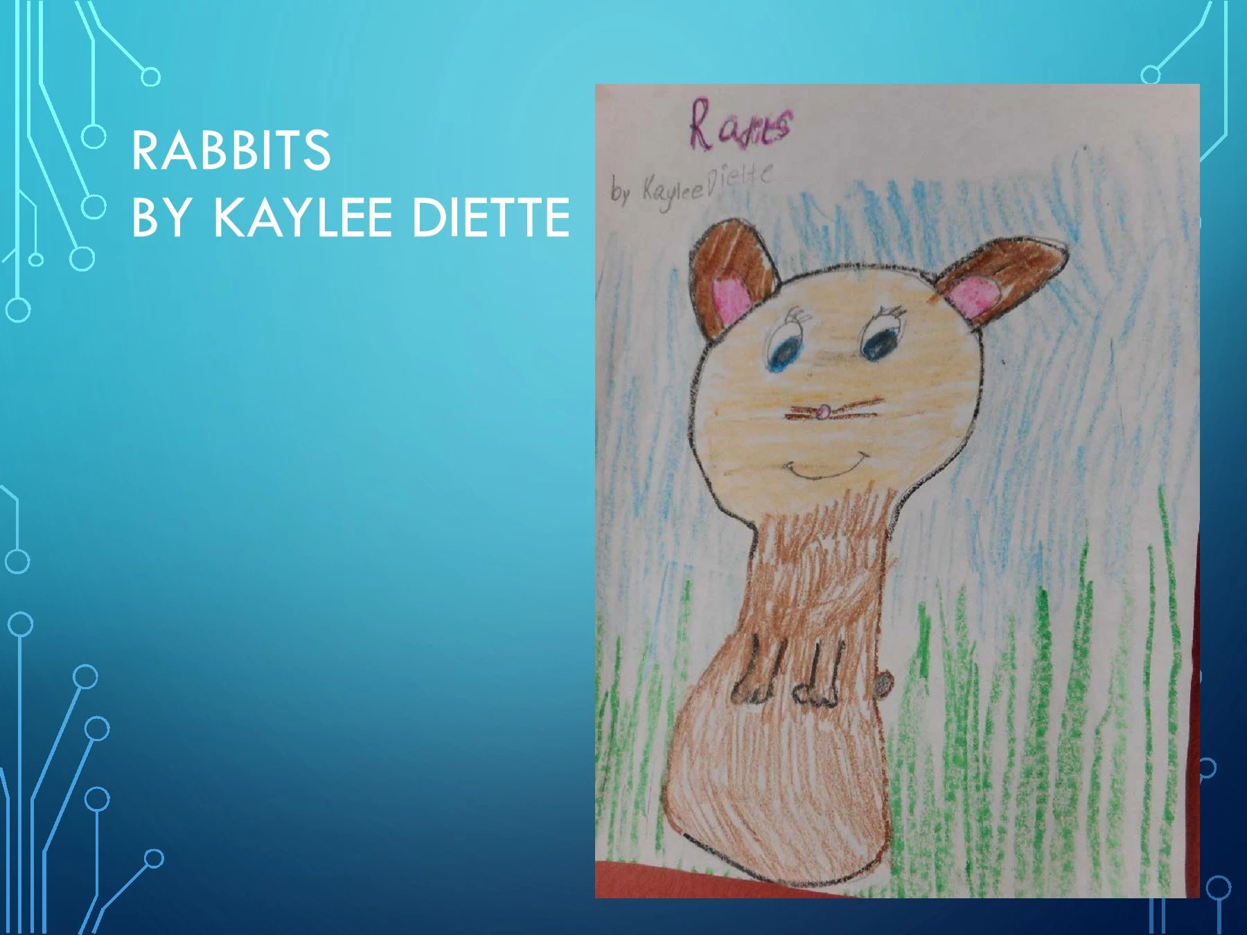 Kyree Rabbit Kaylee