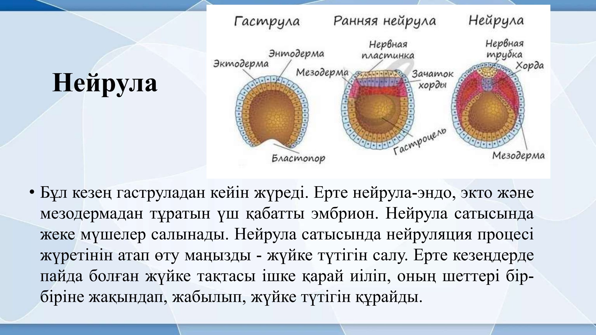 Жеке онлайн студиялардағы порно HD бейне