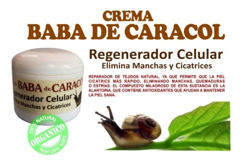 babade caracol10