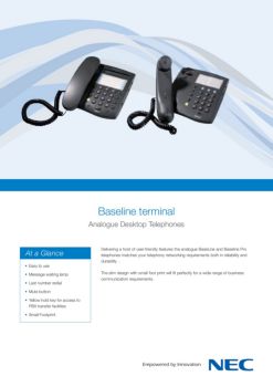Baseline terminal - NEC Enterprise Solutions