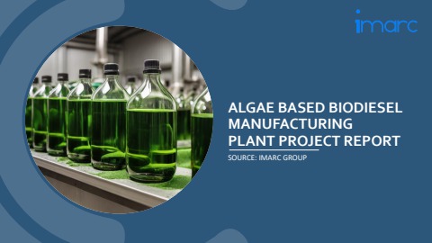 Algae Based Biodiesel Manufacturing Plant Report PDF 2024 - yogesh Flip ...
