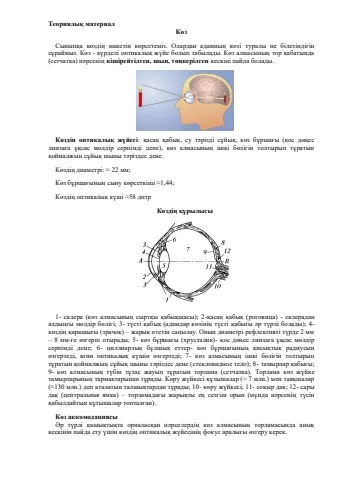 Ұялы телефонда түсірілген порно көру