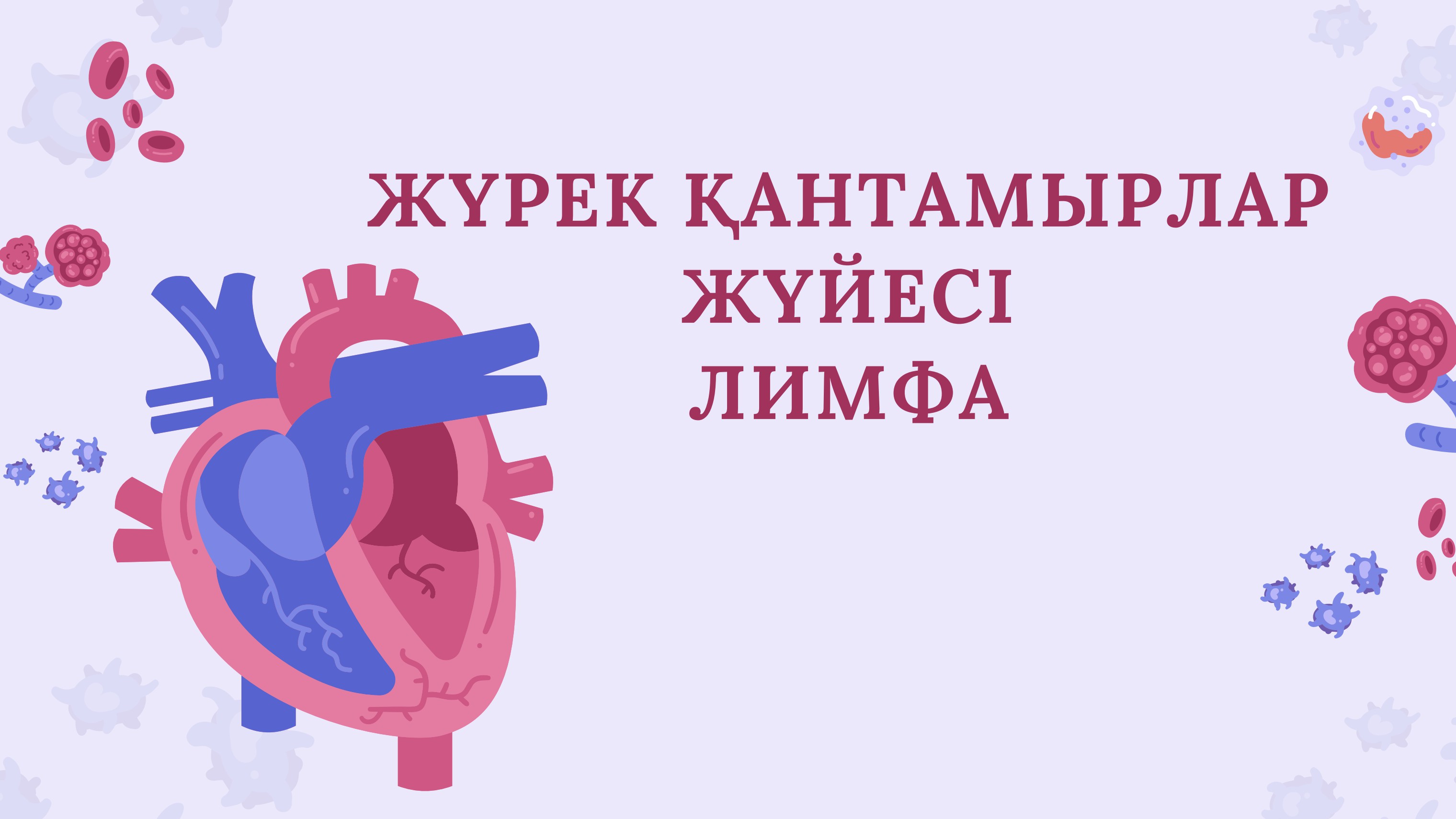 Мен ересек әйелді қонаққа шақырамын