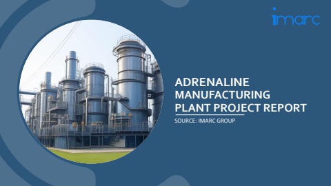 Adrenaline Manufacturing Plant Project Report - Bhuvnesh Kumar Flip PDF ...