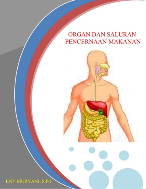 Sistem Pencernaan Manusia Flip Ebook Pages 1 20 Anyflip Anyflip