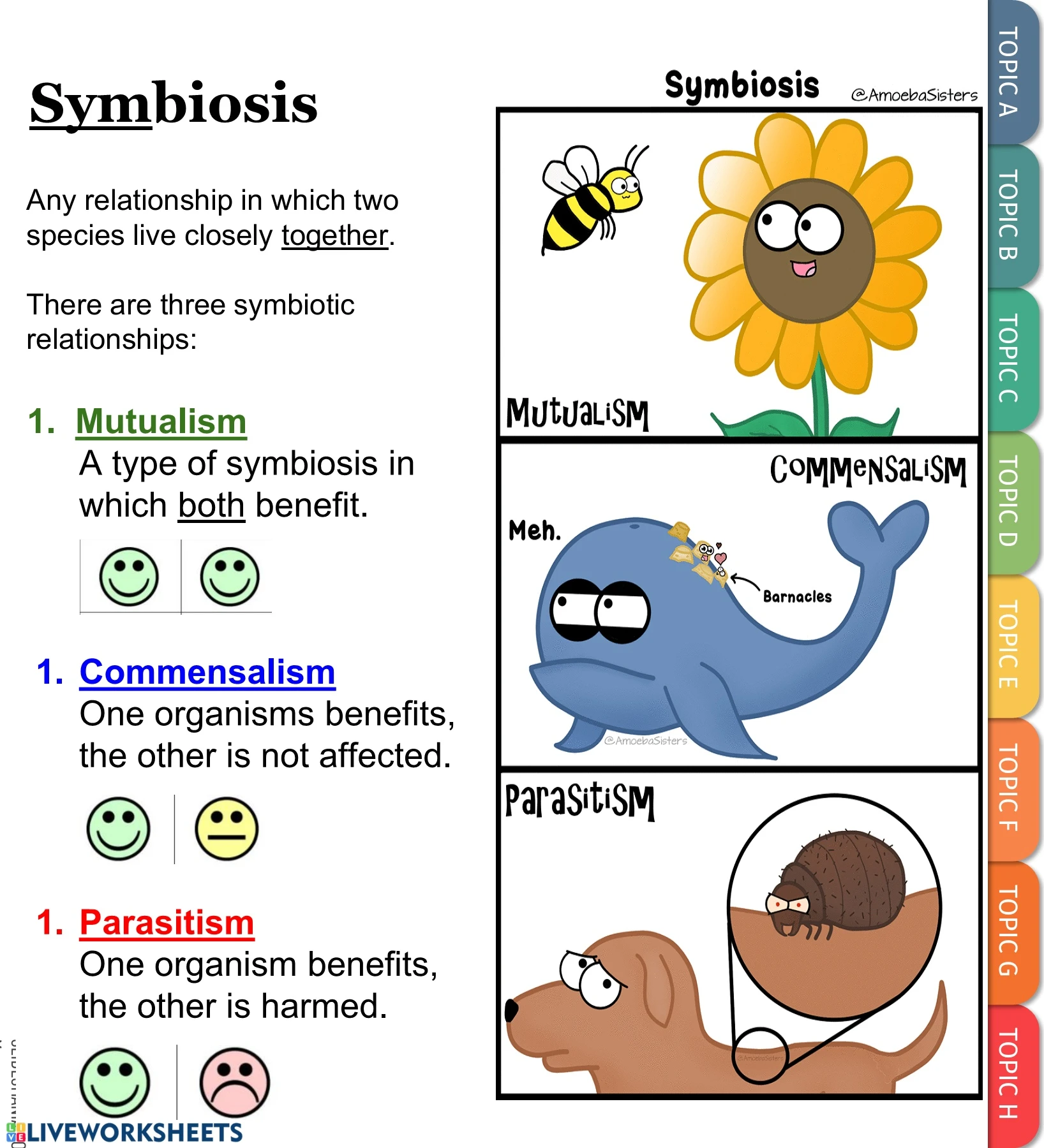 Parasitism And Mutualism Gcse