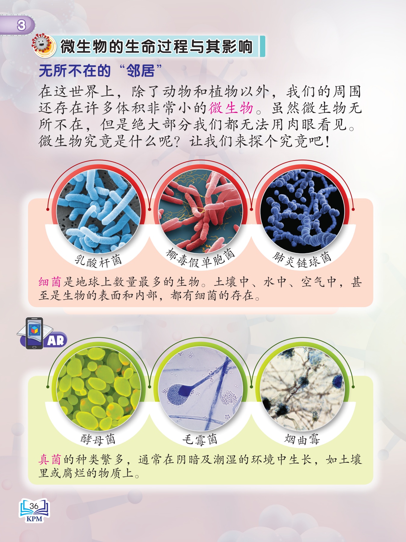 生命编码背后的故事（六十）：冠状病毒- by 程鹗Eddie Cheng - 历史、科学及其它, image size:1350x1800