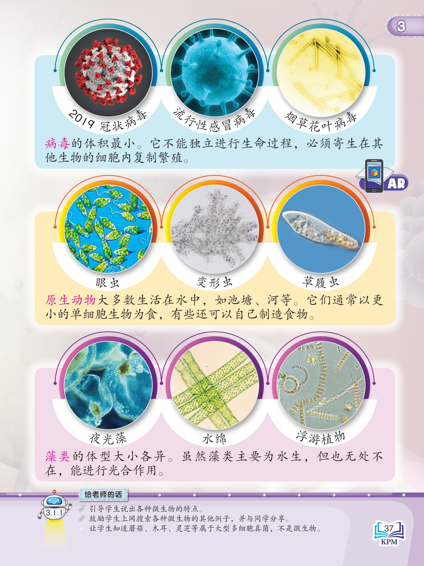 6年级科学课本- 单元三微生物- Flip eBook Pages 1-18 | AnyFlip, image size:1350x1800