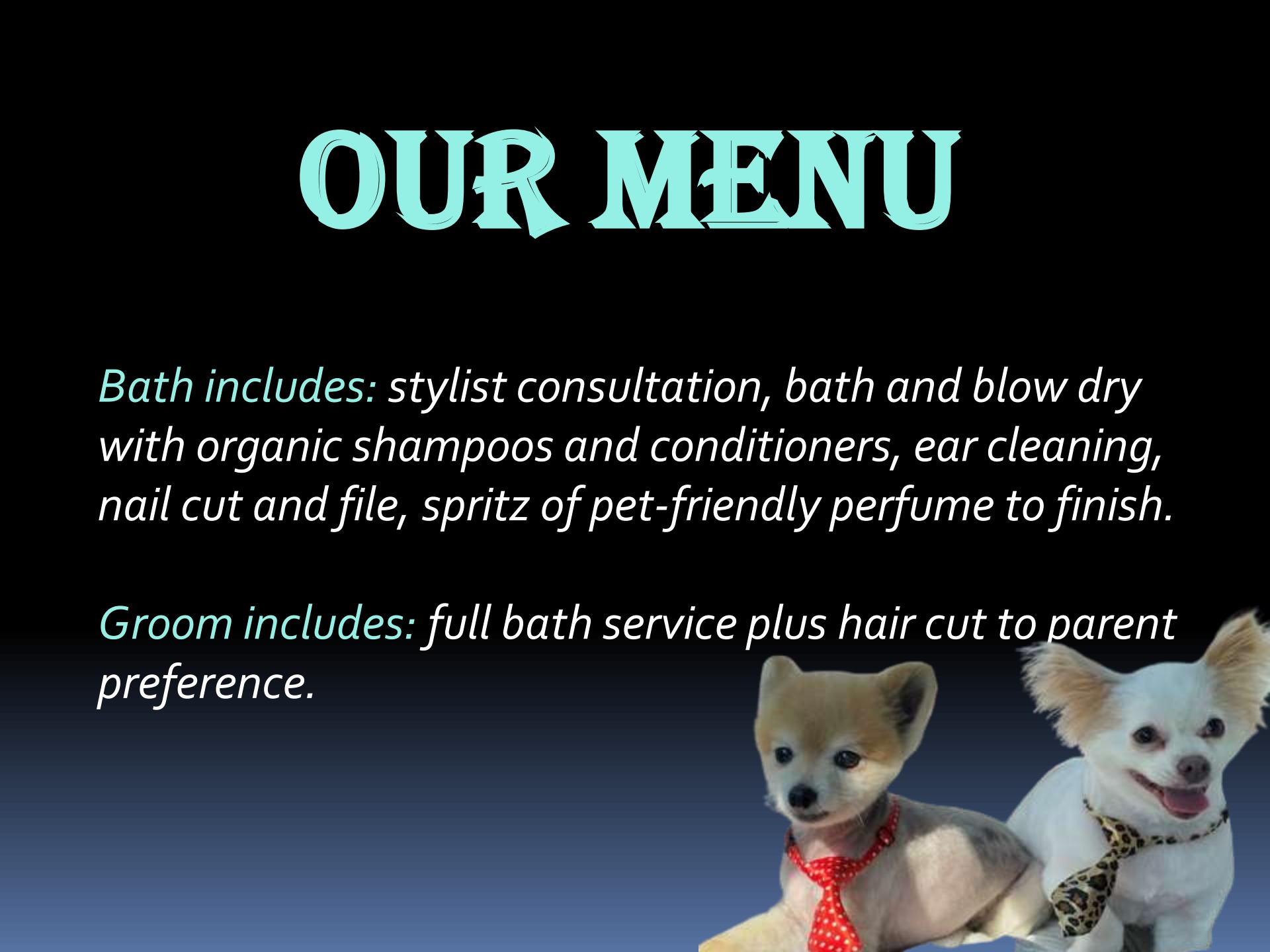 Pet Groomers San Diego - Flip eBook Pages 1-5 | AnyFlip