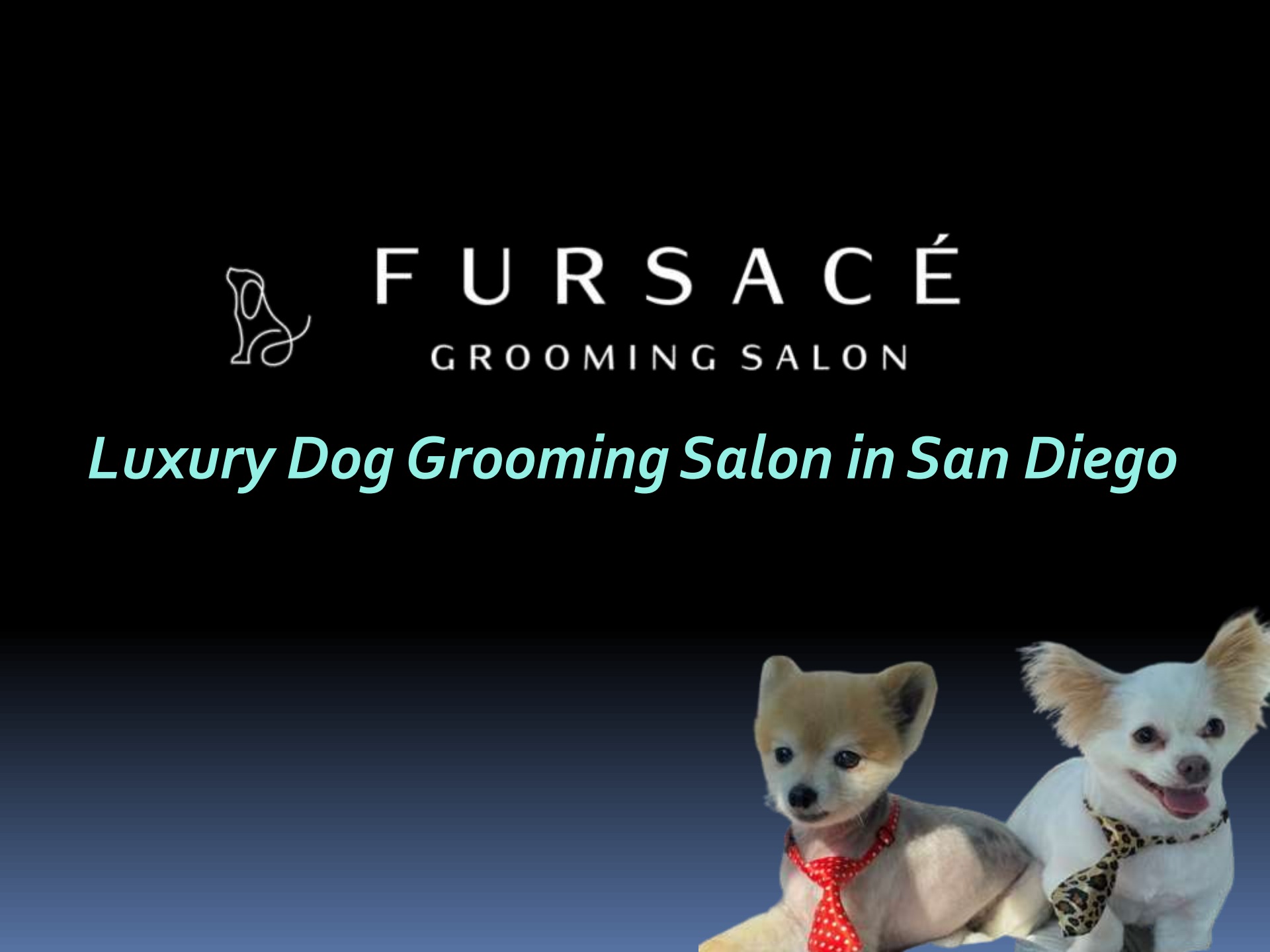 Pet Groomers San Diego - Flip eBook Pages 1-5 | AnyFlip
