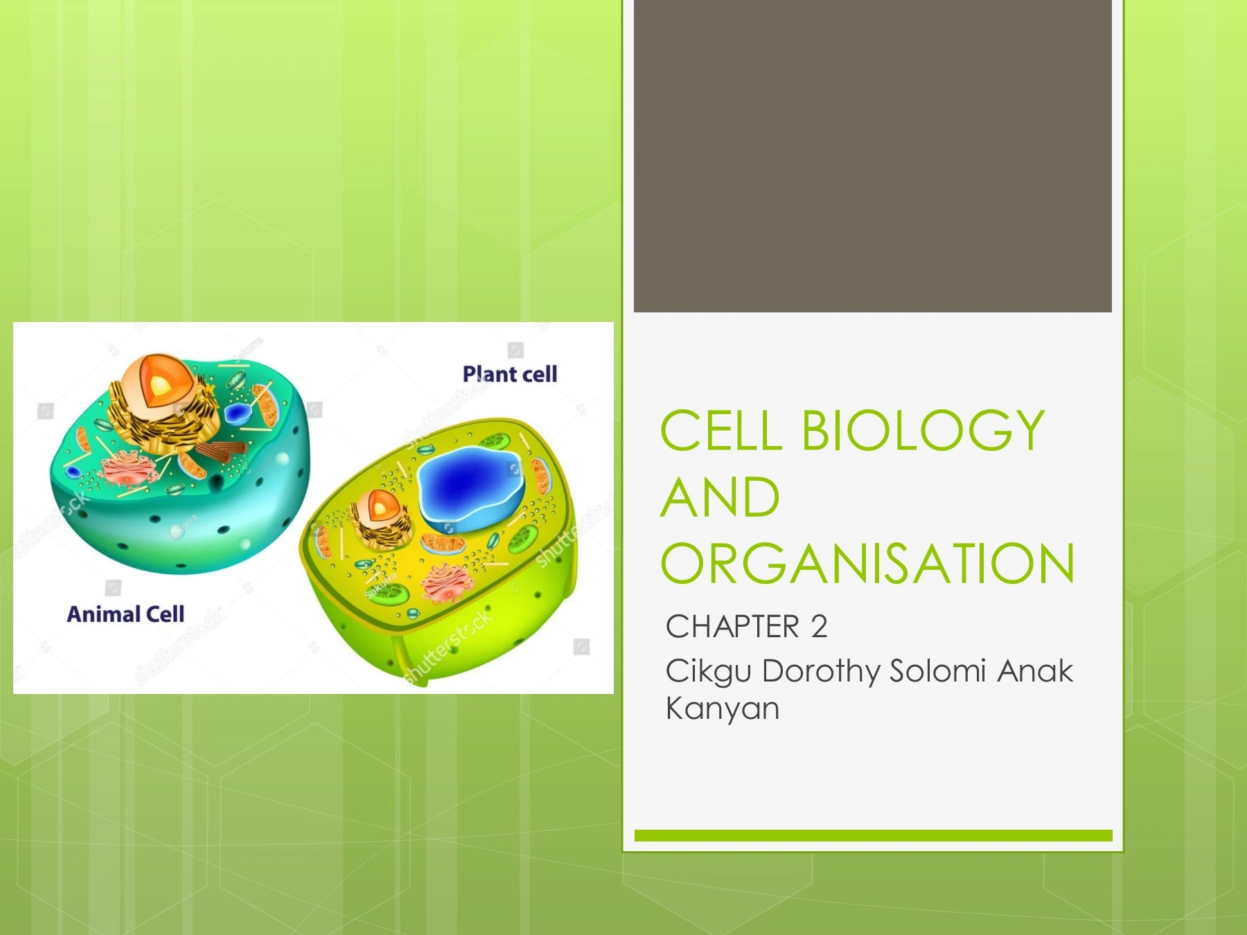 Chapter 2 Cell Biology and Organisation