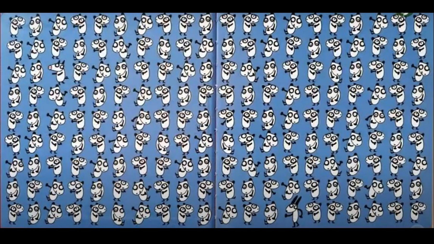 我是熊猫- Flip eBook Pages 1-20 | AnyFlip