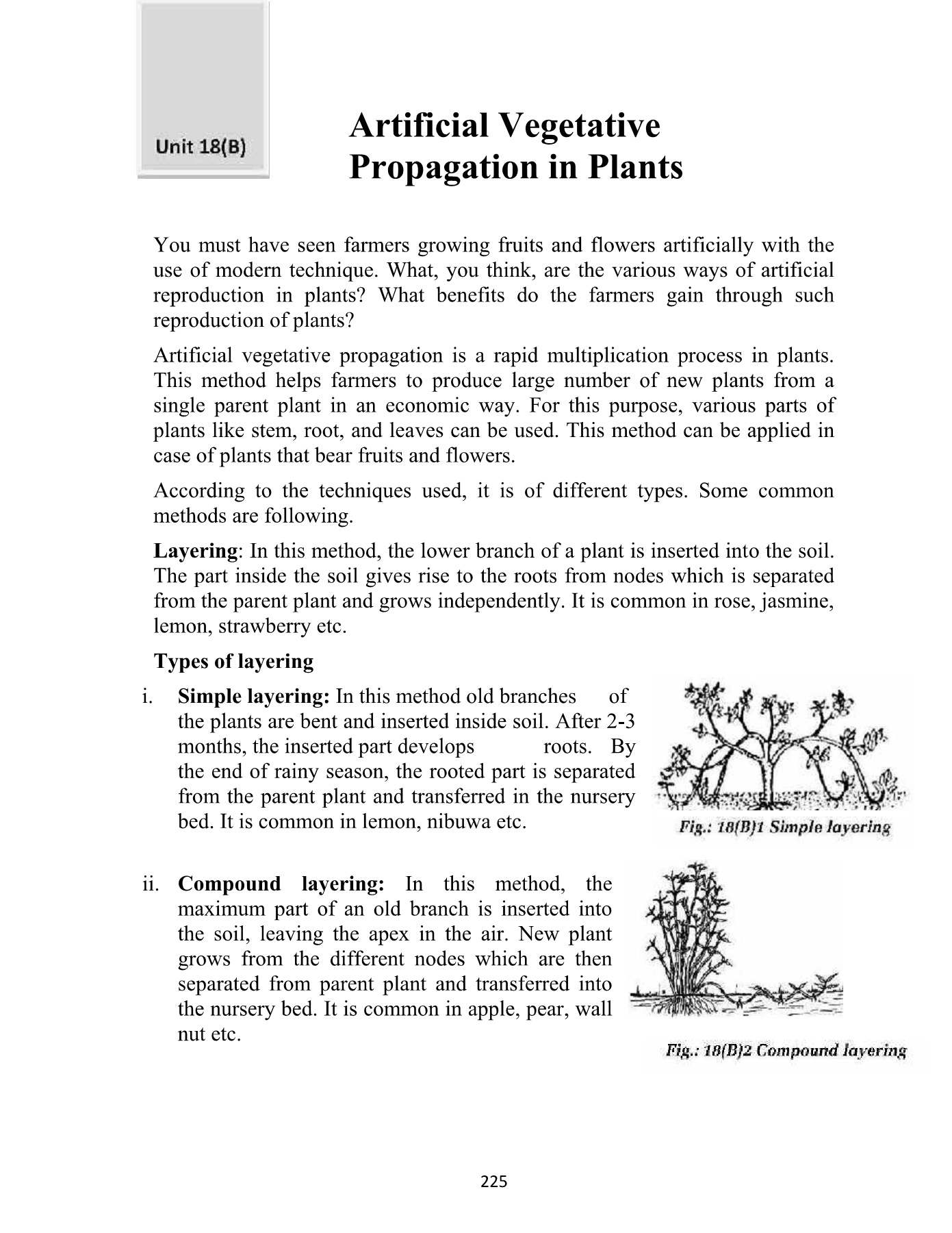 Vegetative Propagation Task 1 edu.svet.gob.gt