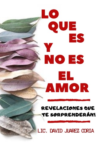 LO QUE ES y NO ES EL AMOR - LicDavidJuarez - Consulta DavidJuarez Flip ...