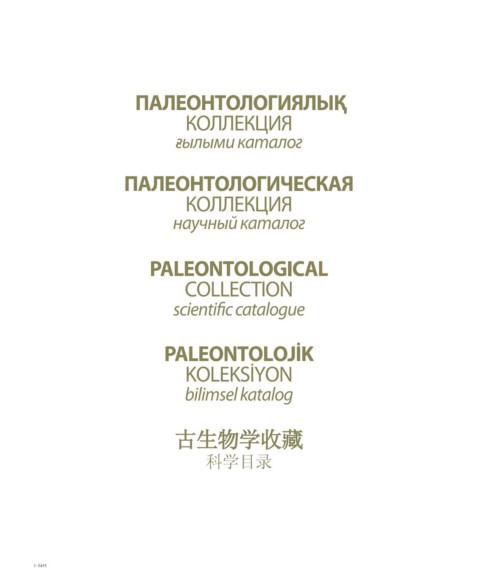 Үстел астындағы шұлықтағы порно жалап