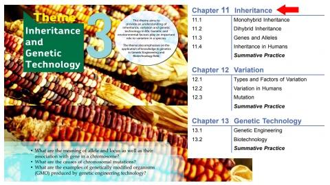 Chapter 11 Inheritance