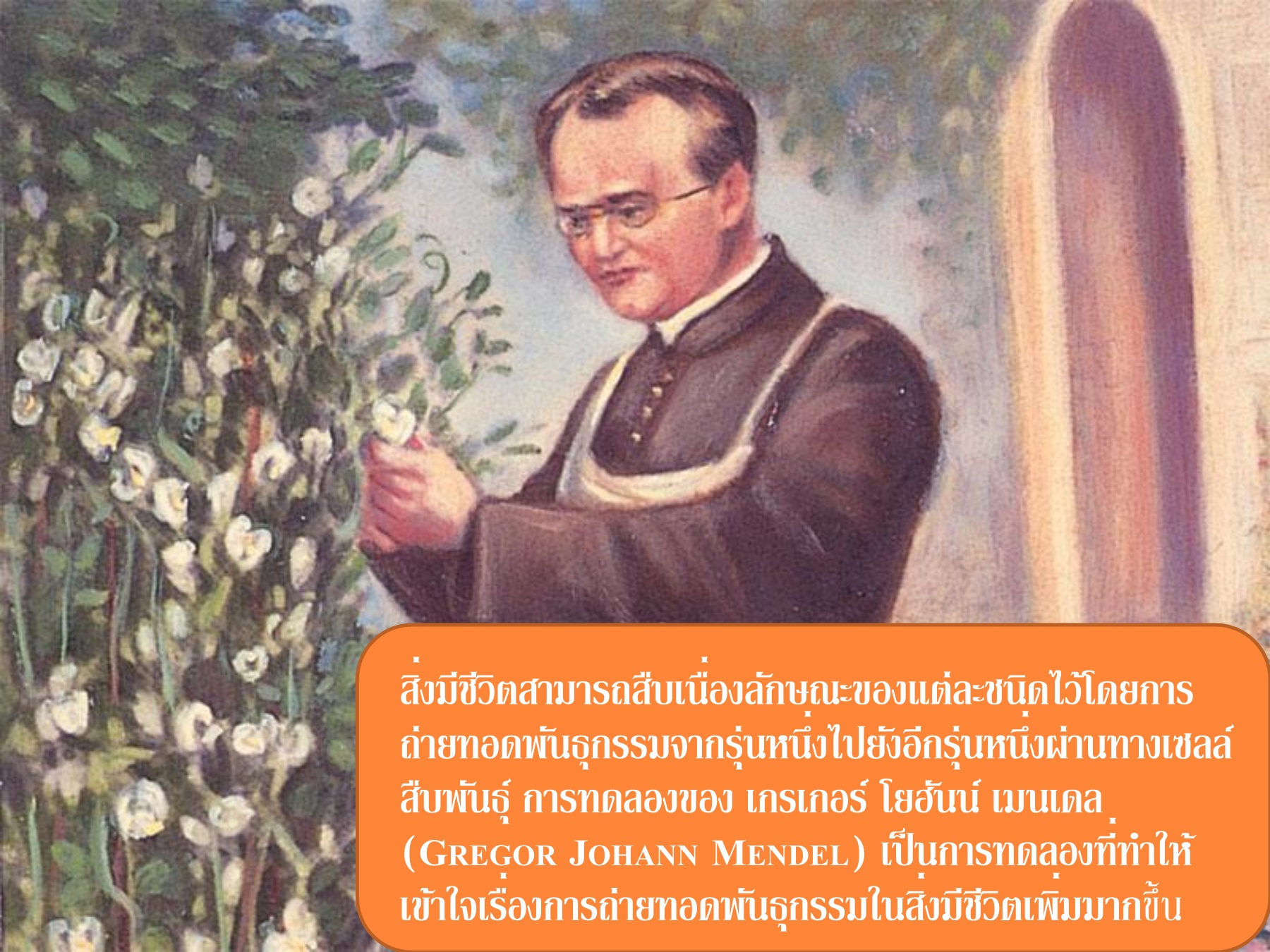 Мендель ученый. Грегор мендель у руля монастыря 5. Грегор мендель у руля монастыря 5. Грегор мендель. Иоганн мендель.