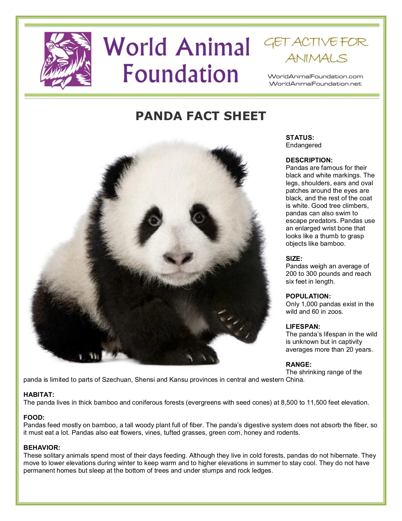 panda - Flip eBook Pages 1-2 | AnyFlip