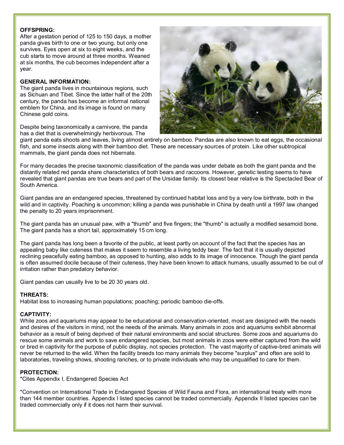 panda - Flip eBook Pages 1-2 | AnyFlip