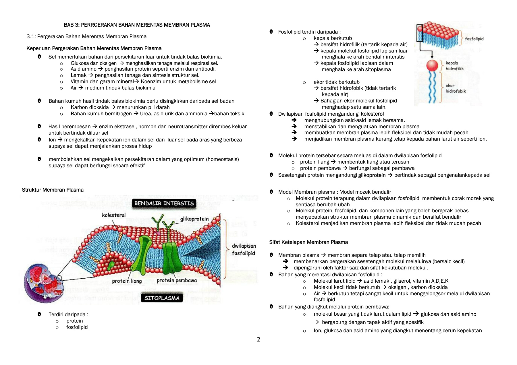 Bab 3 Pergerakan Bahan Merentas Membran Plasma Flip Ebook Pages 1 6 Anyflip Anyflip