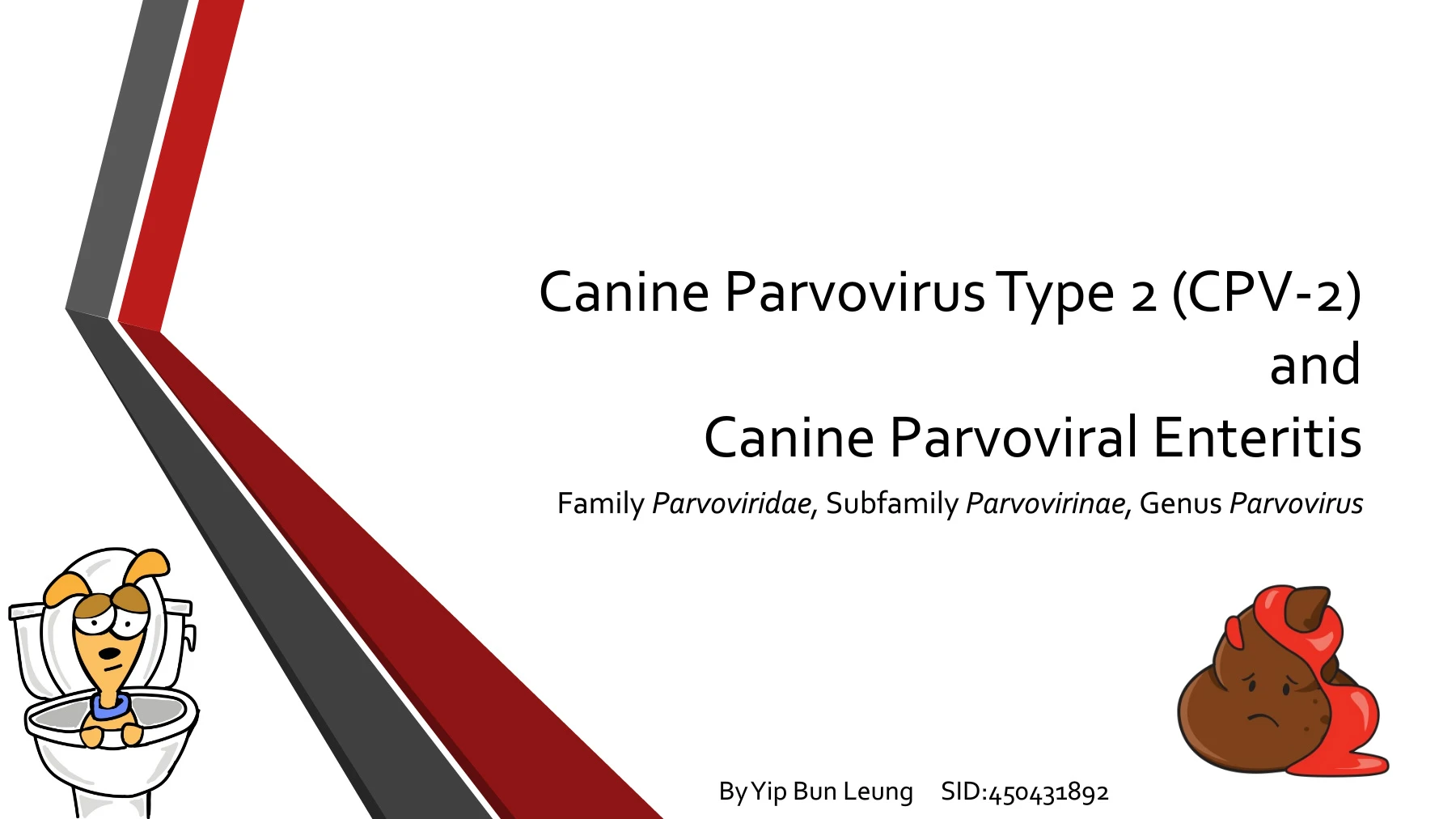 Canine Parvovirus Type 2 (CPV-2) and Canine Parvoviral Enteritis