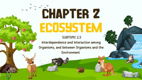 FORM 2 SCIENCE CHAPTER 2 ECOSYSTEM (2.3) - Fadzliana zakaria Flip PDF ...
