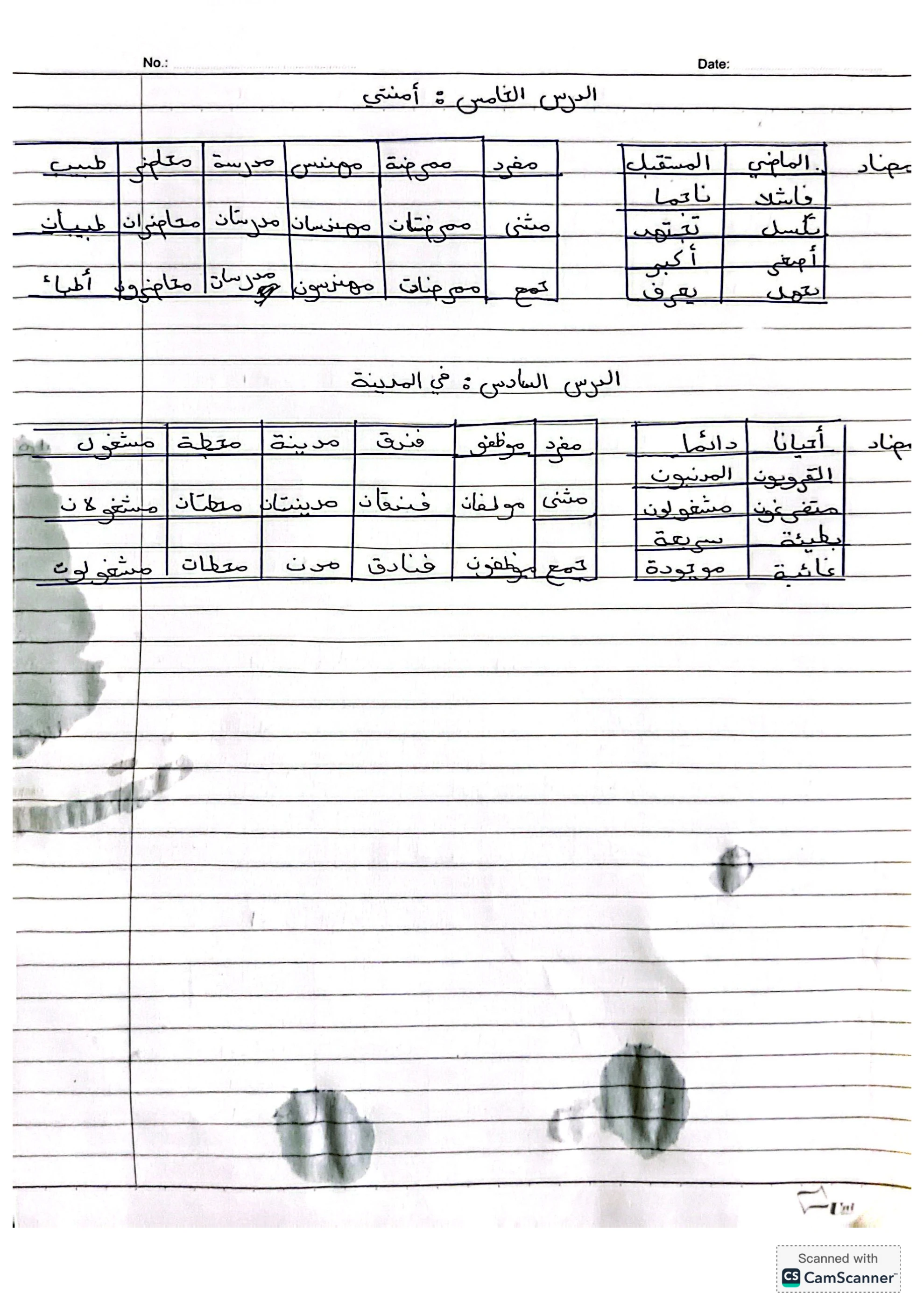 Assignment arab