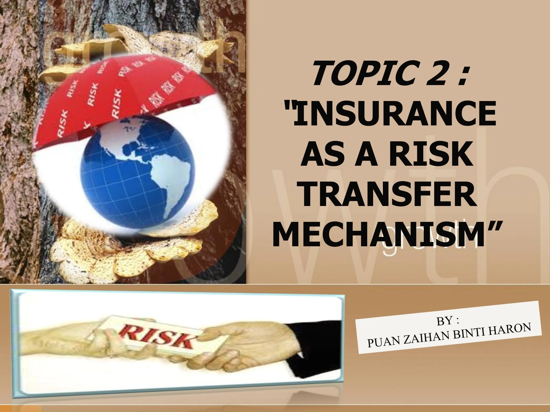 TOPIC 2 : INSURANCE AS A RISK TRANSFER MECHANISM