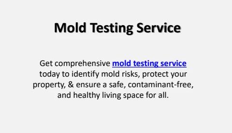 Mold Testing Service