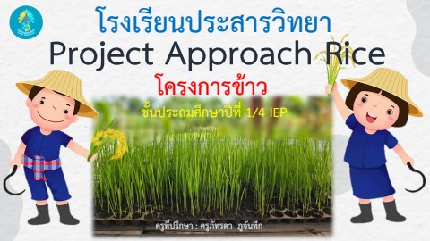 Project Approach Rice P.1/4 IEP