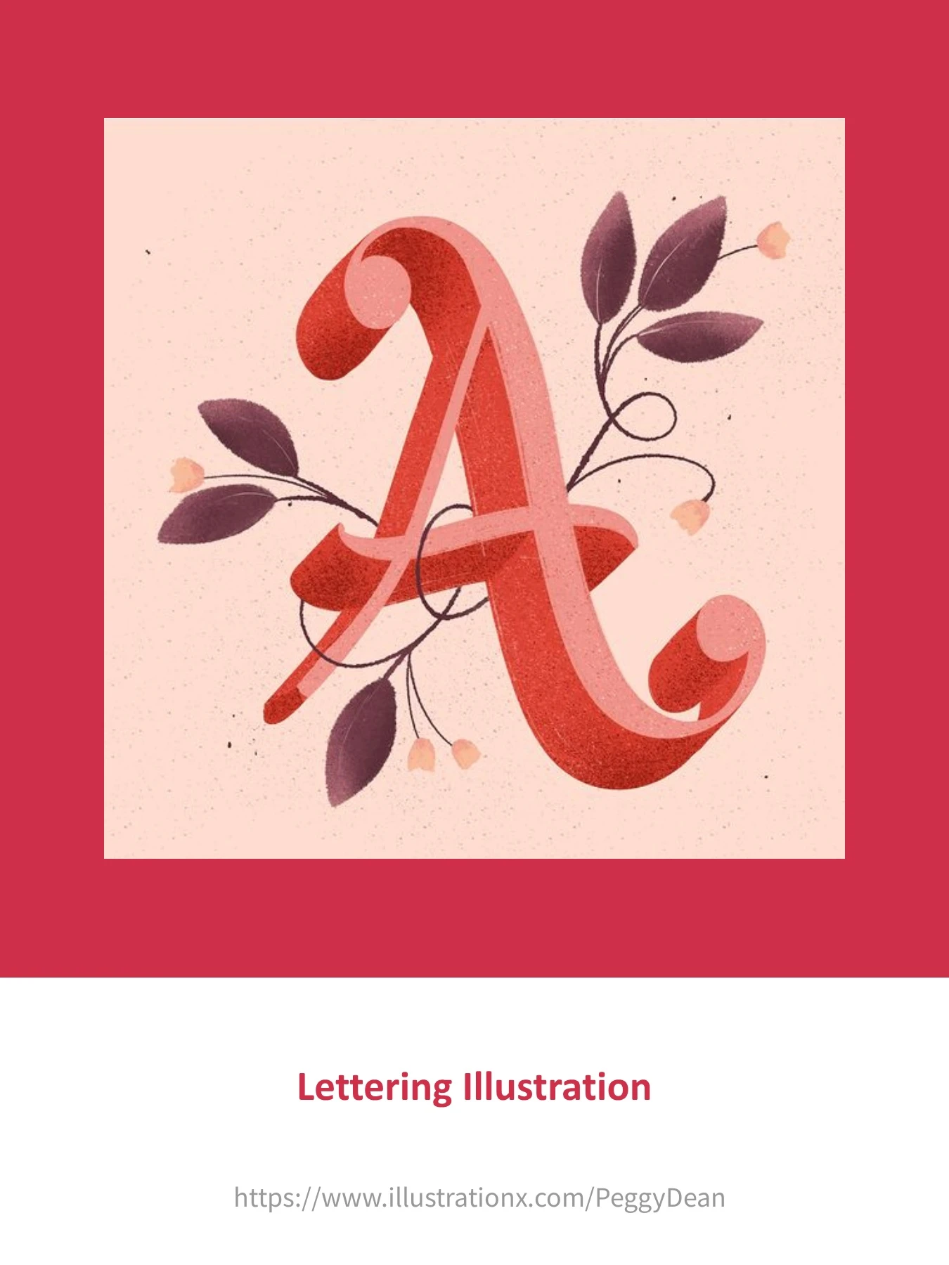 Peggy Dean - Botanical & Lettering Illustrator