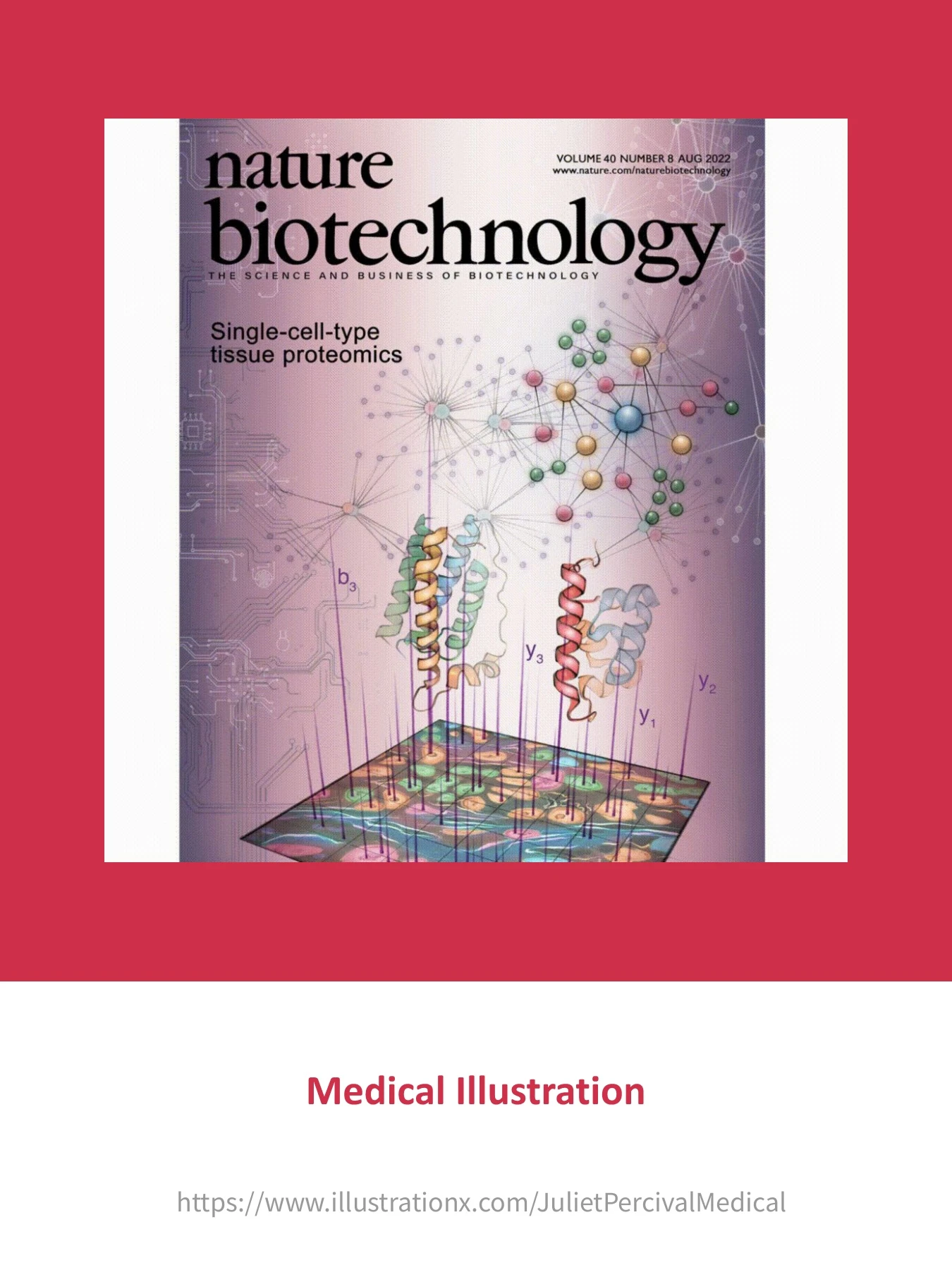 Juliet Percival Medical - Medical & Scientific Illustrator, UK