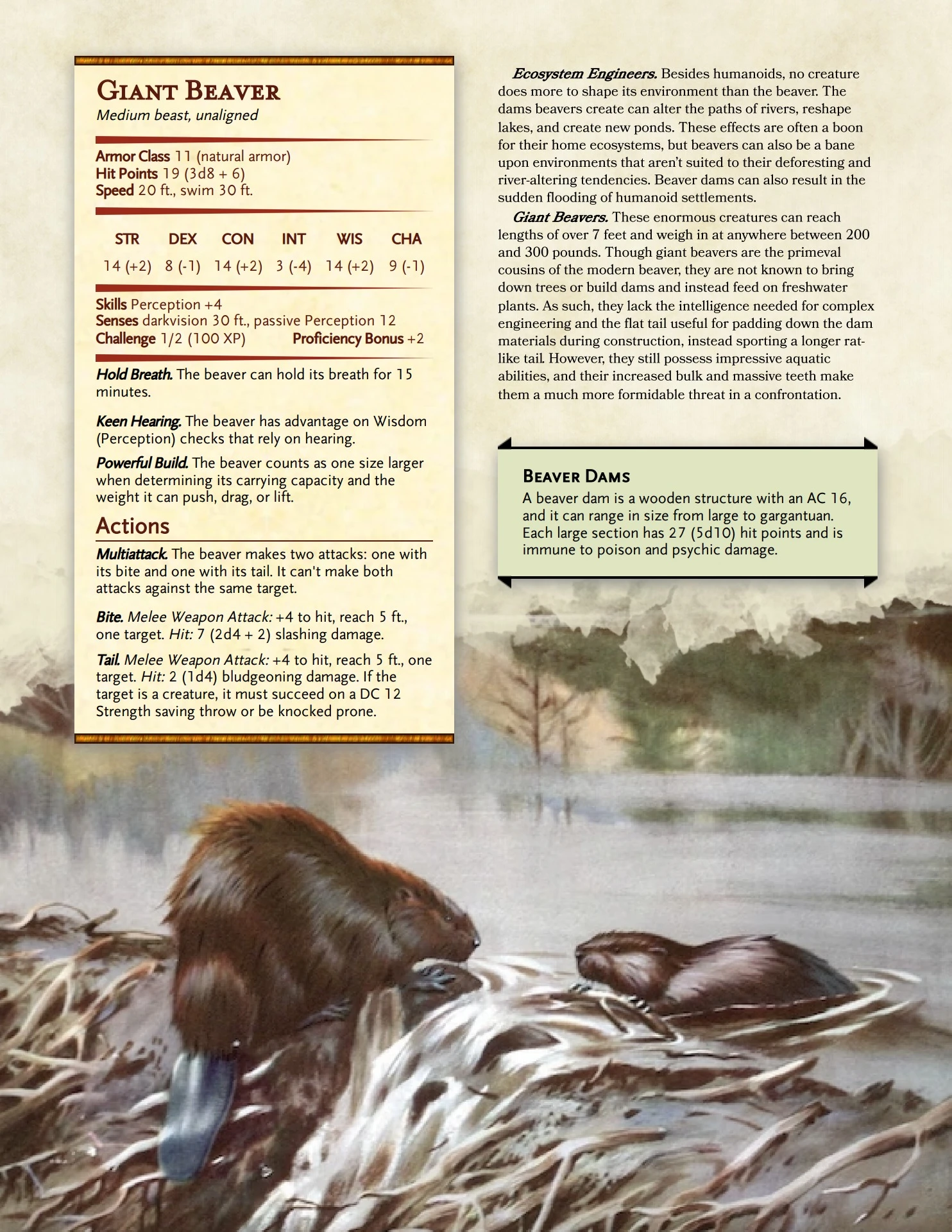 Beaver