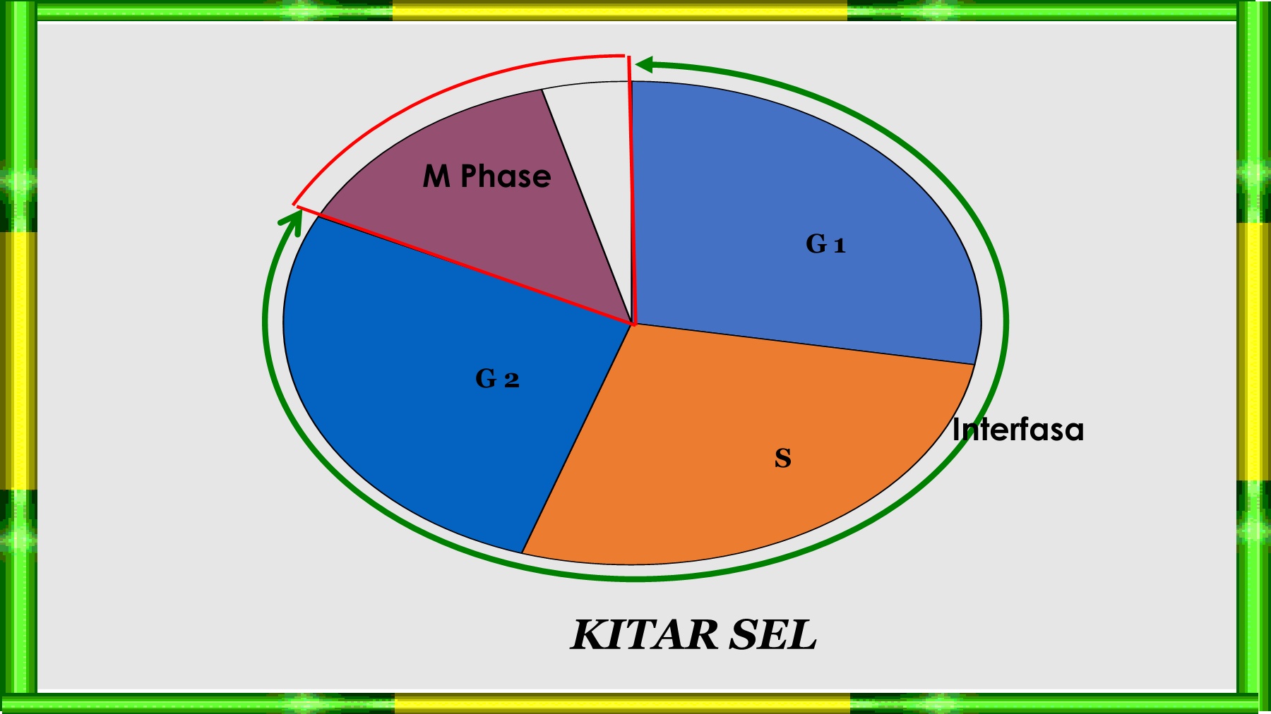 Biologi Tingkatan 5 Bab 6.2