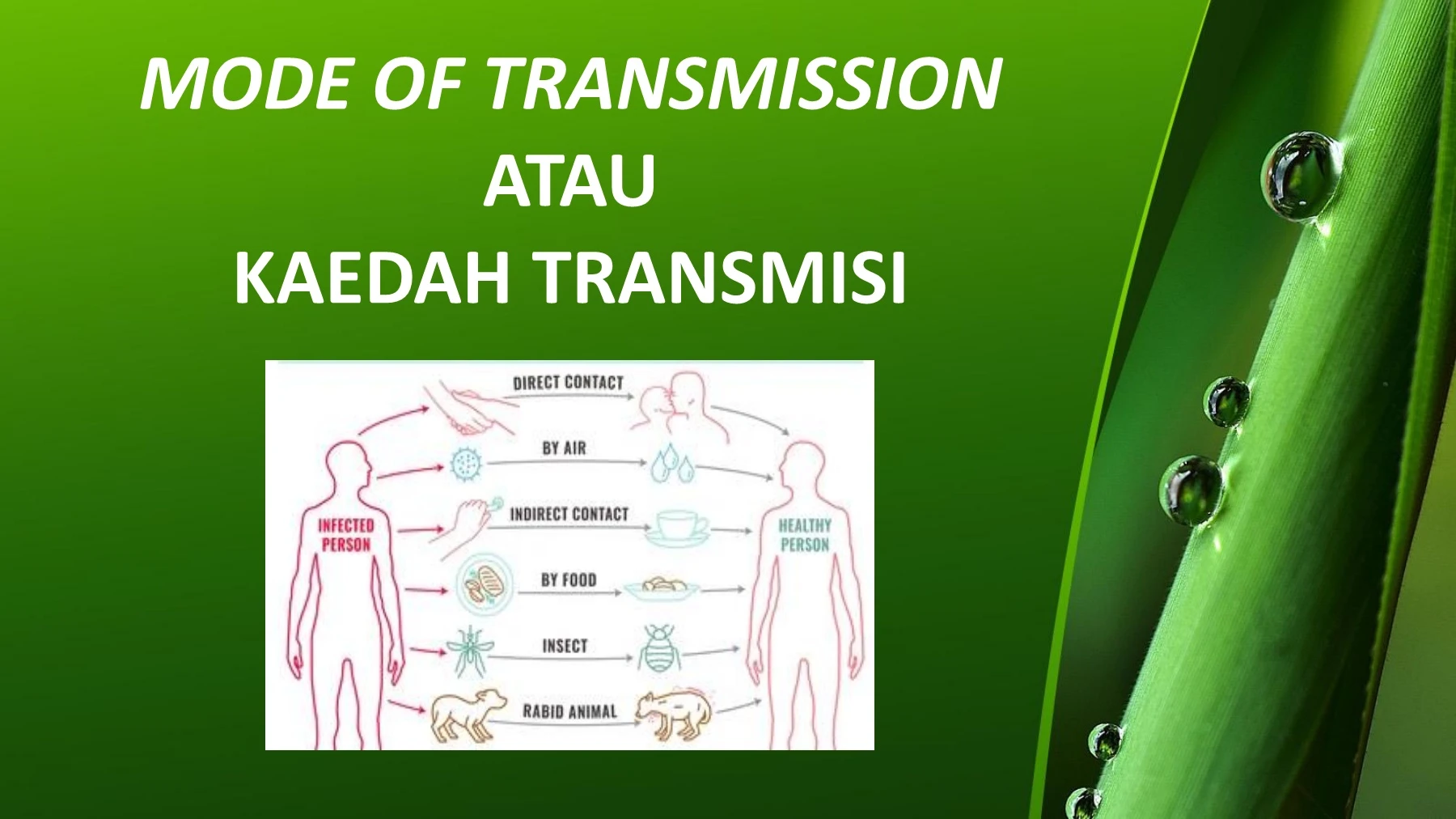 Gcmp Community Based Infection GCMP 2022 PENCEGAHAN DAN KAWALAN INFEKSI
