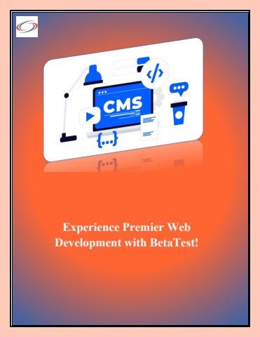 Experience Premier Web Development with BetaTest!
