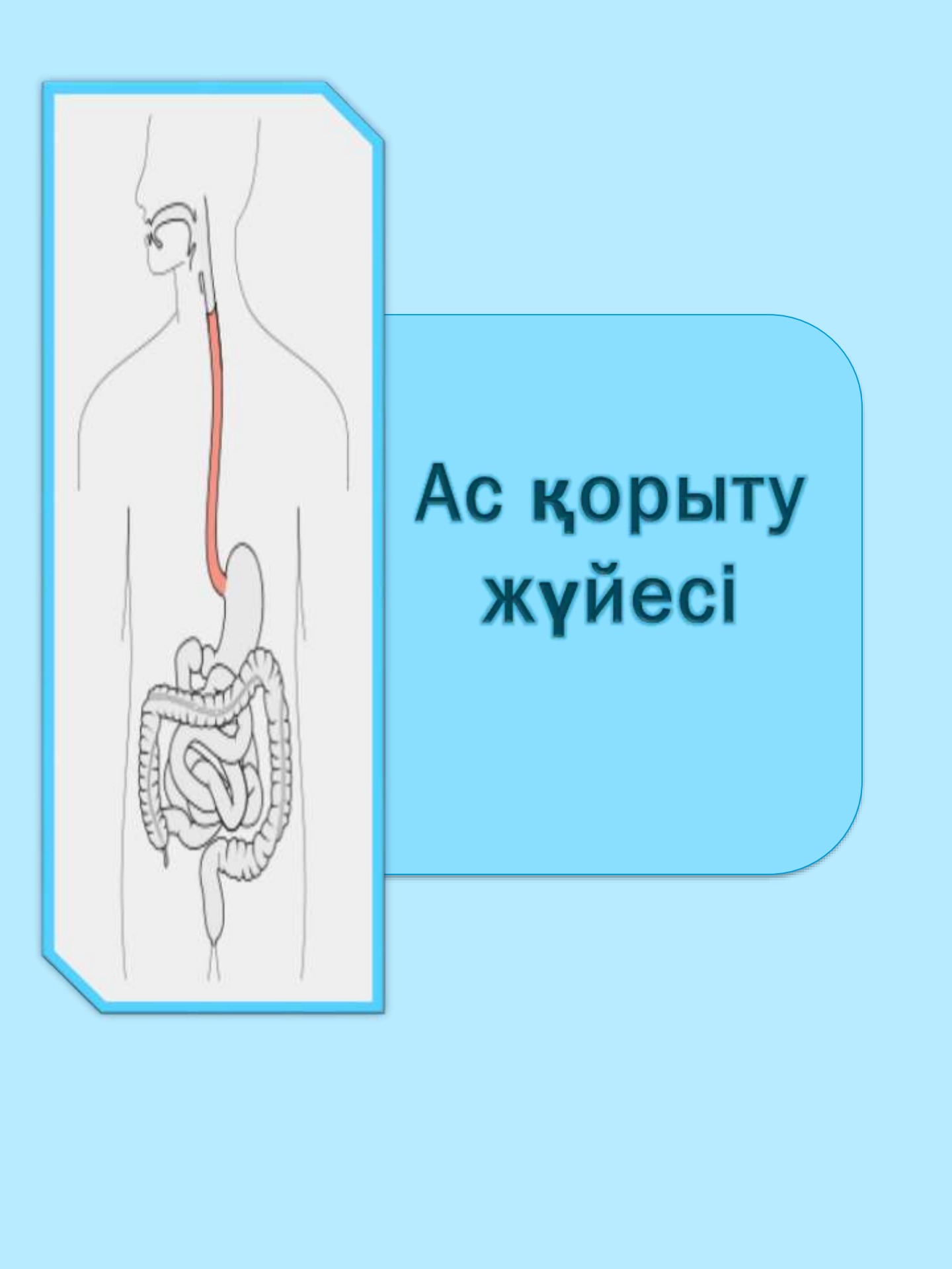 Қыз дала эротикасы Догги стиліндегі үлкен жалаңаш бөкселердің фотосуреттері