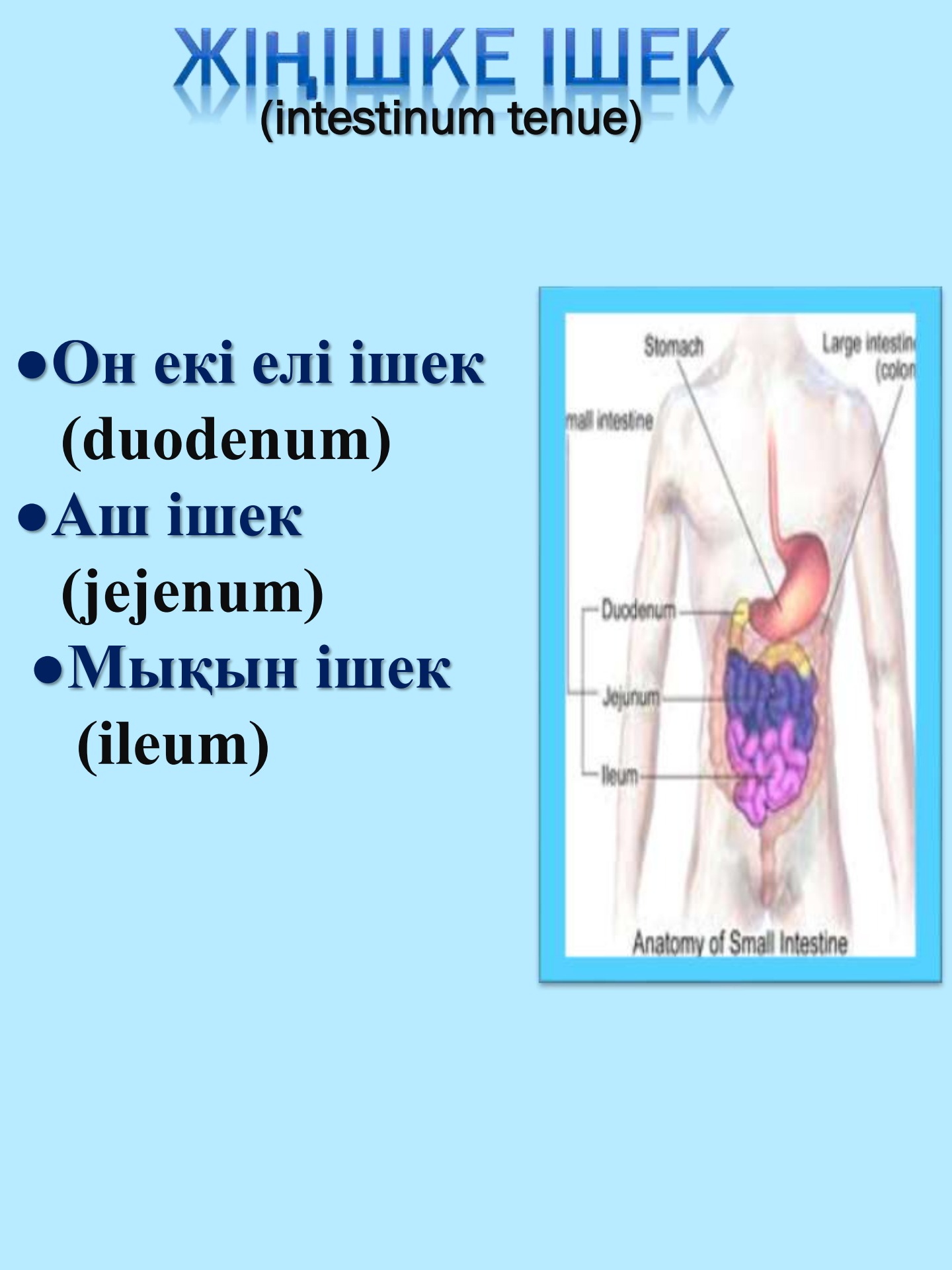 Фотосессиялар түсірген Эмбер Люстфул