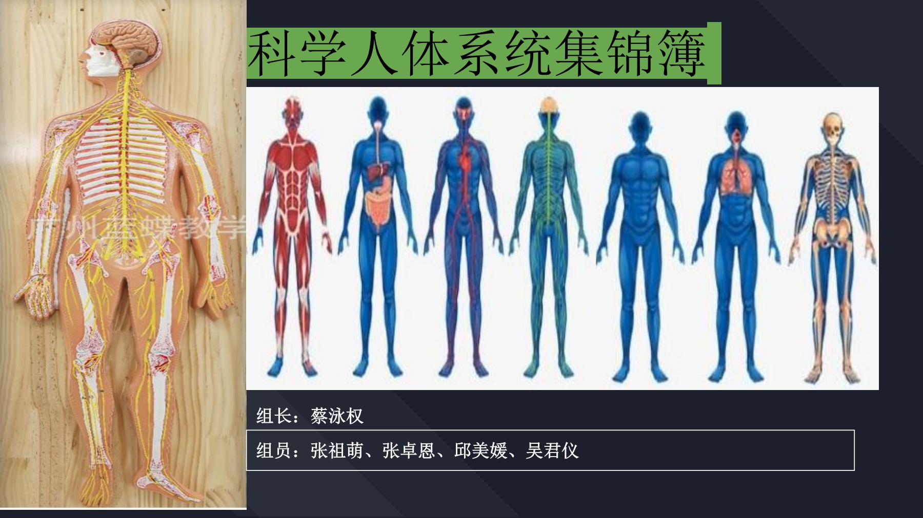 科学人体系统集锦簿- Flip eBook Pages 1-15 | AnyFlip, image size:1800x1012