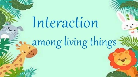 Interactions Among Living Things And Nonliving Things