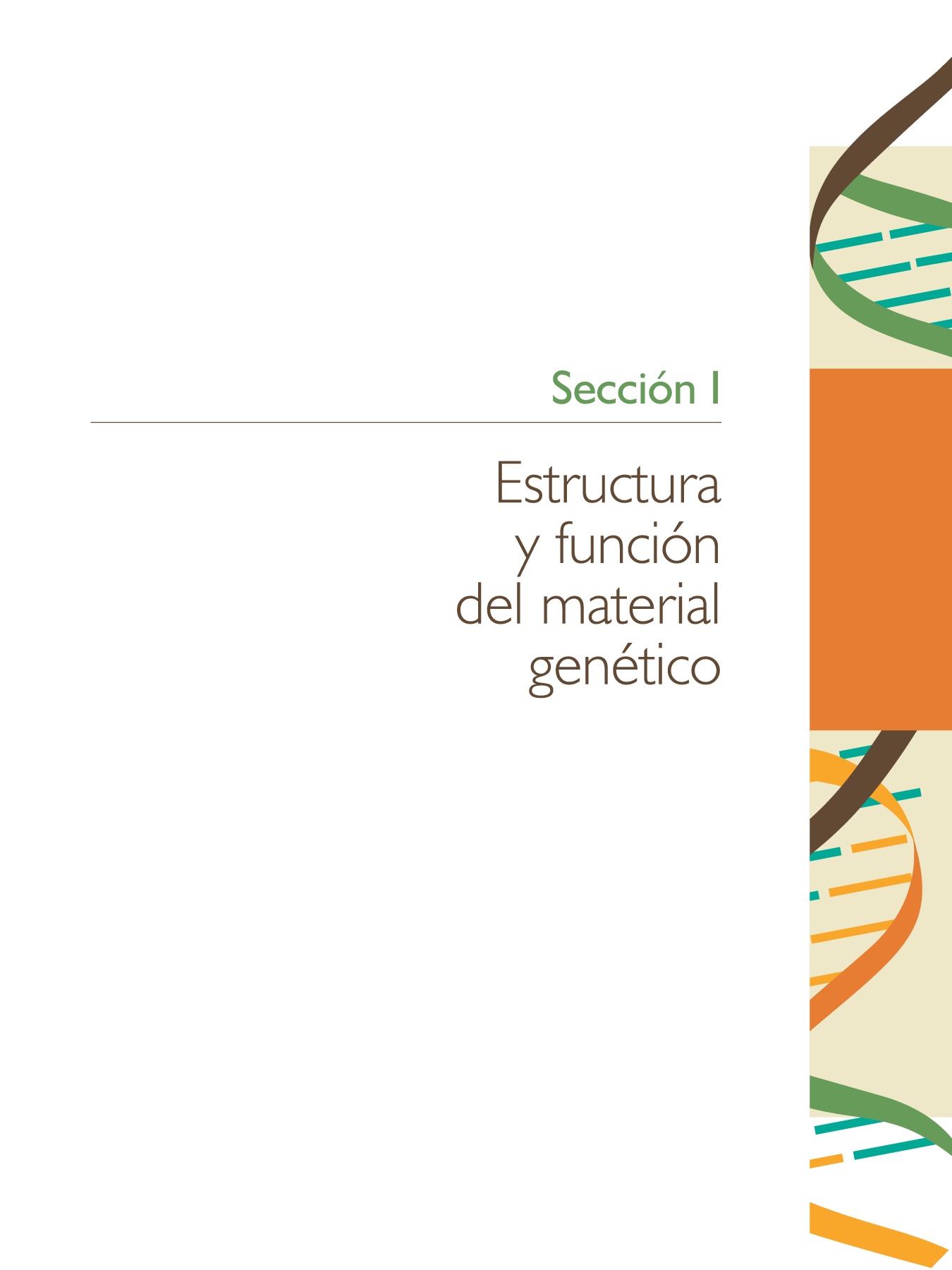 CRISPR en la agricultura - Instituto de Genómica Innovadora (IGI), image size:1350x1800