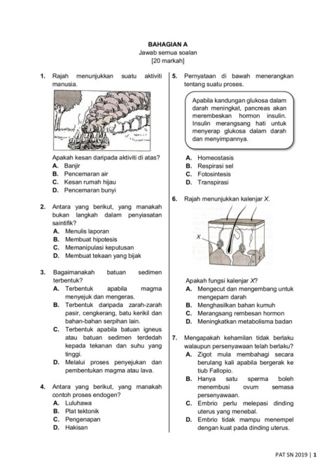 Peperiksaan Akhir Tahun Flip Ebook Pages 1 14 Anyflip Anyflip