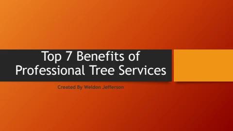 Top 7 Benefits of Professional Tree Services